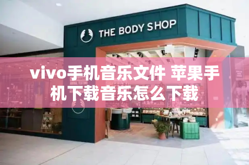 vivo手机音乐文件 苹果手机下载音乐怎么下载