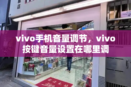vivo手机音量调节，vivo按键音量设置在哪里调-第1张图片-星选测评