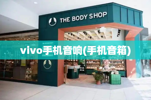 vivo手机音响(手机音箱)