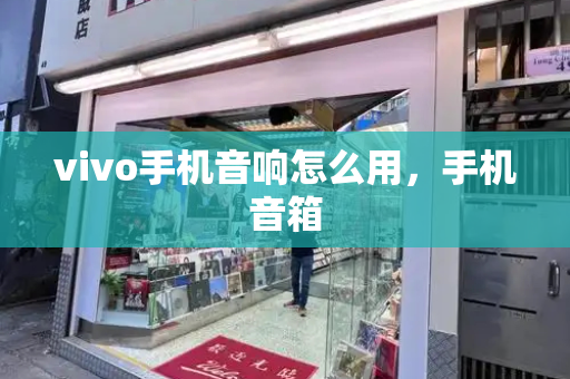 vivo手机音响怎么用，手机音箱-第1张图片-星选测评