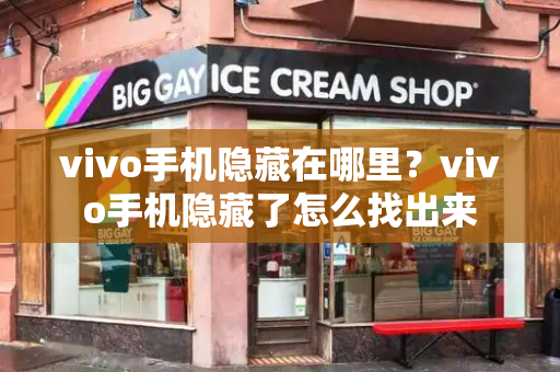 vivo手机隐藏在哪里？vivo手机隐藏了怎么找出来-第1张图片-星选测评