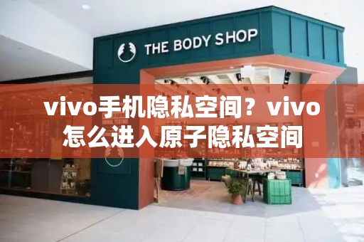 vivo手机隐私空间？vivo怎么进入原子隐私空间-第1张图片-星选测评