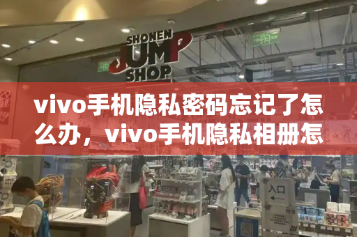 vivo手机隐私密码忘记了怎么办，vivo手机隐私相册怎么找出来-第1张图片-星选测评