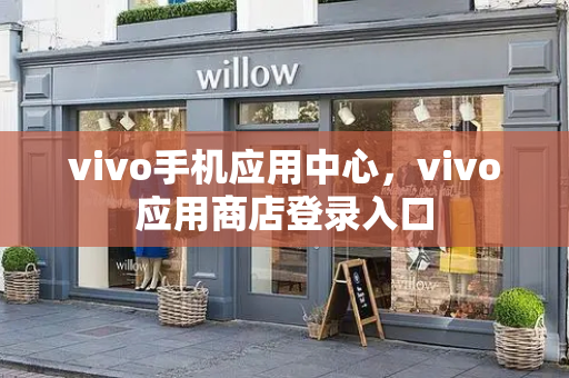 vivo手机应用中心，vivo应用商店登录入口