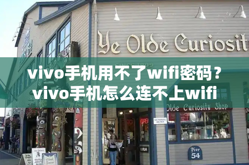 vivo手机用不了wifi密码？vivo手机怎么连不上wifi-第1张图片-星选测评