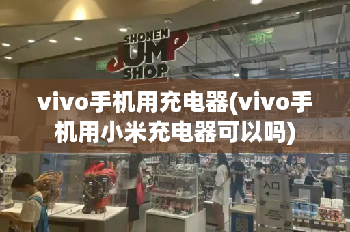 vivo手机用充电器(vivo手机用小米充电器可以吗)