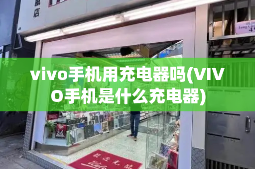 vivo手机用充电器吗(VIVO手机是什么充电器)