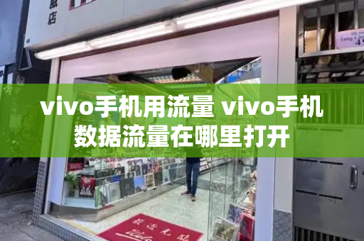 vivo手机用流量 vivo手机数据流量在哪里打开