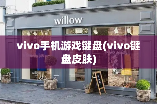 vivo手机游戏键盘(vivo键盘皮肤)