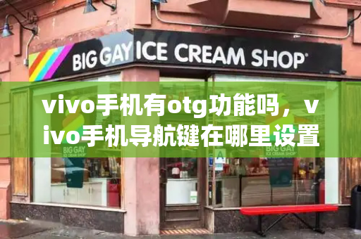 vivo手机有otg功能吗，vivo手机导航键在哪里设置