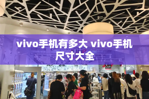 vivo手机有多大 vivo手机尺寸大全-第1张图片-星选测评