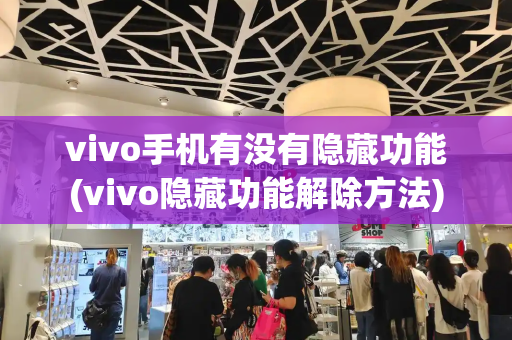 vivo手机有没有隐藏功能(vivo隐藏功能解除方法)-第1张图片-星选测评