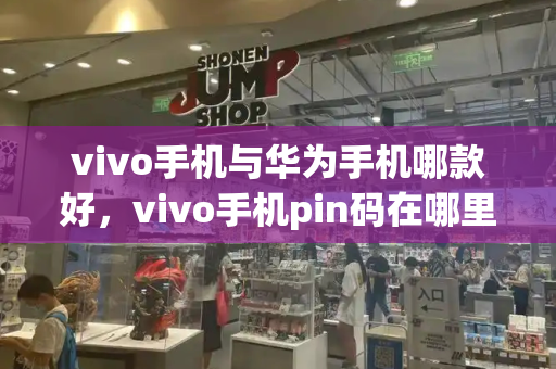 vivo手机与华为手机哪款好，vivo手机pin码在哪里看-第1张图片-星选测评