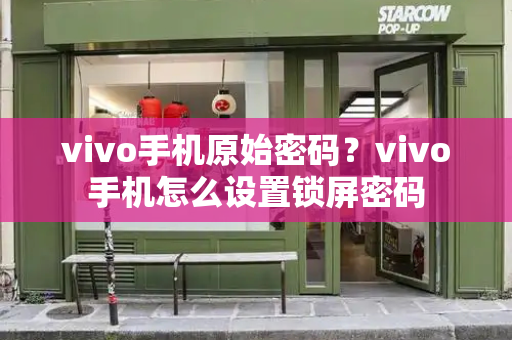 vivo手机原始密码？vivo手机怎么设置锁屏密码-第1张图片-星选测评