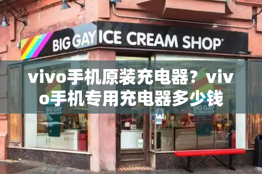 vivo手机原装充电器？vivo手机专用充电器多少钱