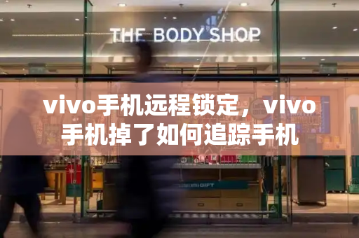 vivo手机远程锁定，vivo手机掉了如何追踪手机-第1张图片-星选测评
