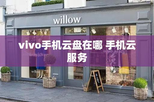 vivo手机云盘在哪 手机云服务