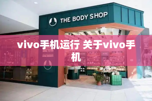 vivo手机运行 关于vivo手机-第1张图片-星选测评