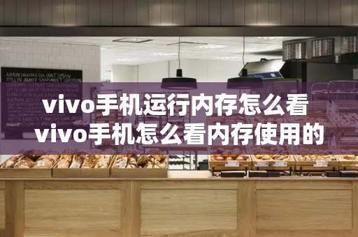 vivo手机运行内存怎么看 vivo手机怎么看内存使用的详细情况-第1张图片-星选测评