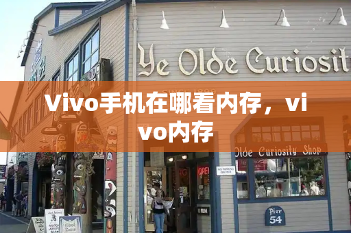 Vivo手机在哪看内存，vivo内存-第1张图片-星选测评