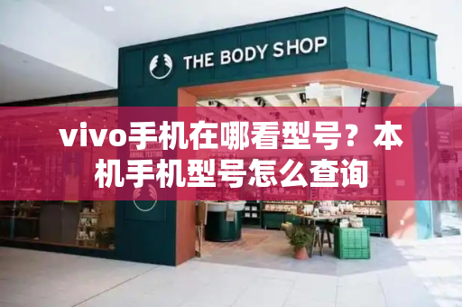 vivo手机在哪看型号？本机手机型号怎么查询