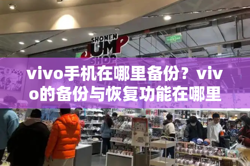 vivo手机在哪里备份？vivo的备份与恢复功能在哪里-第1张图片-星选测评