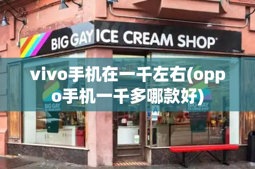 vivo手机在一千左右(oppo手机一千多哪款好)-第1张图片-星选测评