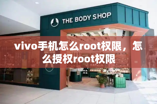 vivo手机怎么root权限，怎么授权root权限-第1张图片-星选测评
