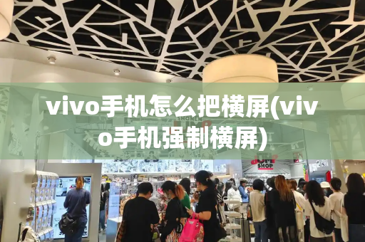 vivo手机怎么把横屏(vivo手机强制横屏)-第1张图片-星选测评