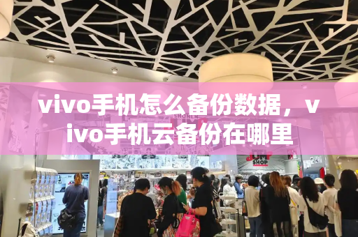vivo手机怎么备份数据，vivo手机云备份在哪里-第1张图片-星选测评