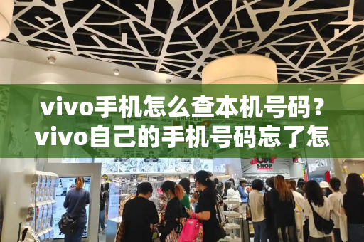 vivo手机怎么查本机号码？vivo自己的手机号码忘了怎么查-第1张图片-星选测评