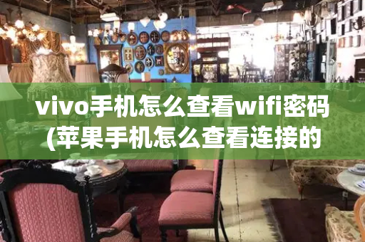 vivo手机怎么查看wifi密码(苹果手机怎么查看连接的wifi密码)-第1张图片-星选测评