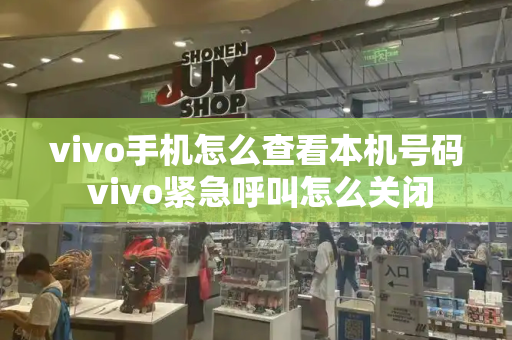 vivo手机怎么查看本机号码 vivo紧急呼叫怎么关闭-第1张图片-星选测评