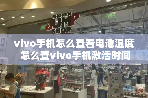 vivo手机怎么查看电池温度 怎么查vivo手机激活时间和日期-第1张图片-星选测评