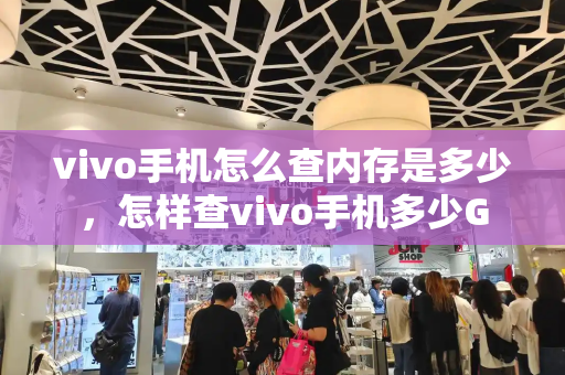 vivo手机怎么查内存是多少，怎样查vivo手机多少G