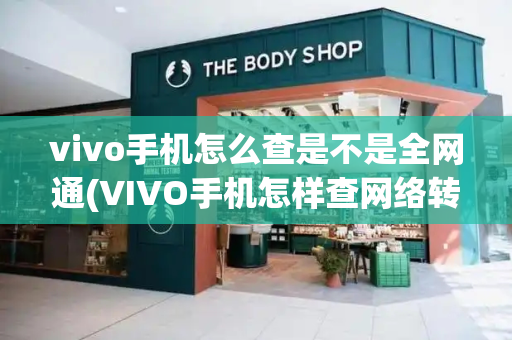 vivo手机怎么查是不是全网通(VIVO手机怎样查网络转换)-第1张图片-星选测评