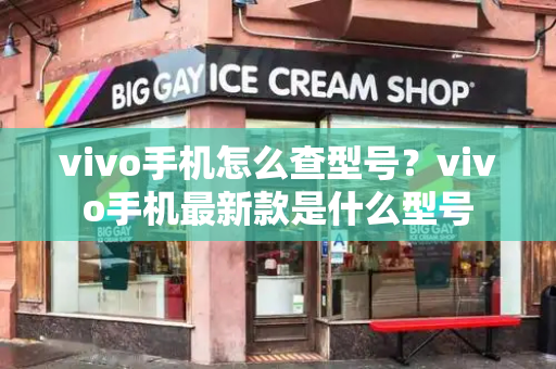 vivo手机怎么查型号？vivo手机最新款是什么型号-第1张图片-星选测评