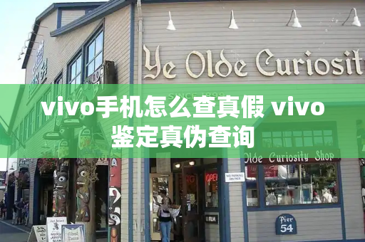 vivo手机怎么查真假 vivo鉴定真伪查询