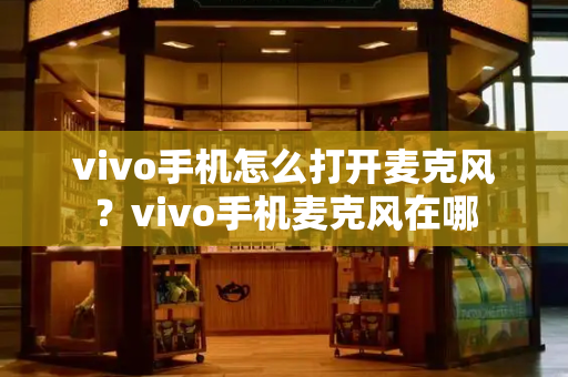 vivo手机怎么打开麦克风？vivo手机麦克风在哪-第1张图片-星选测评