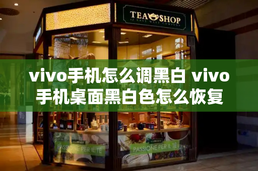 vivo手机怎么调黑白 vivo手机桌面黑白色怎么恢复