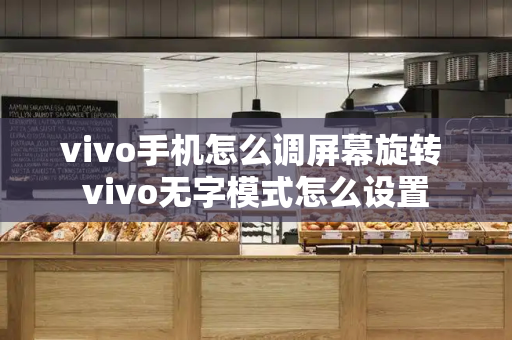 vivo手机怎么调屏幕旋转 vivo无字模式怎么设置