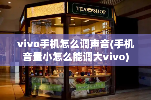 vivo手机怎么调声音(手机音量小怎么能调大vivo)-第1张图片-星选测评