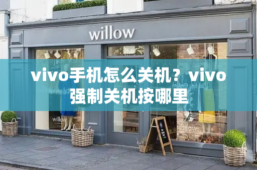 vivo手机怎么关机？vivo强制关机按哪里-第1张图片-星选测评