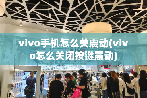 vivo手机怎么关震动(vivo怎么关闭按键震动)-第1张图片-星选测评