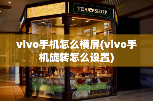 vivo手机怎么横屏(vivo手机旋转怎么设置)-第1张图片-星选测评