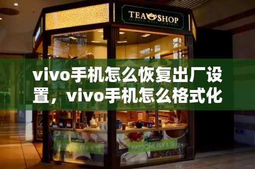 vivo手机怎么恢复出厂设置，vivo手机怎么格式化-第1张图片-星选测评