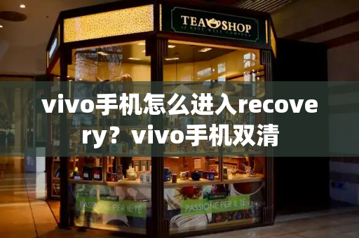 vivo手机怎么进入recovery？vivo手机双清-第1张图片-星选测评