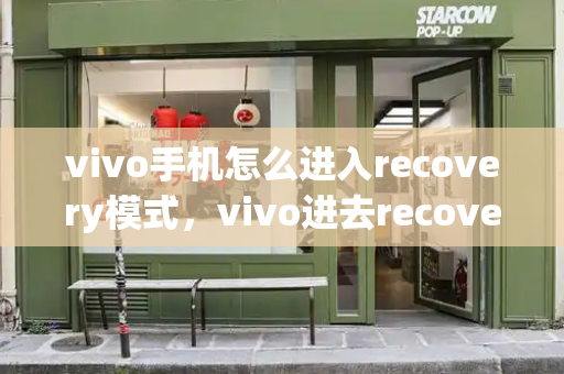vivo手机怎么进入recovery模式，vivo进去recovery模式-第1张图片-星选测评