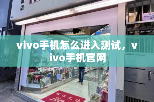 vivo手机怎么进入测试，vivo手机官网