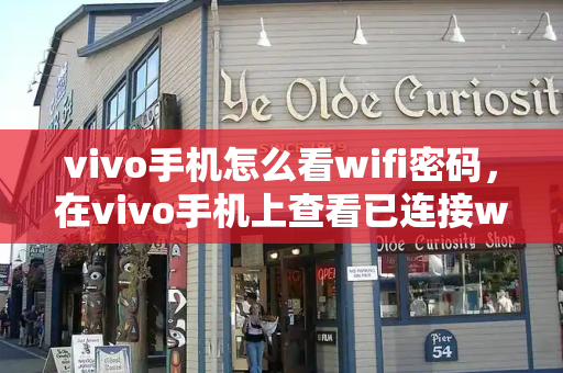 vivo手机怎么看wifi密码，在vivo手机上查看已连接wifi的密码